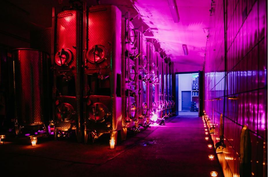 der Weinkeller, engetaucht in rot-violettem Licht